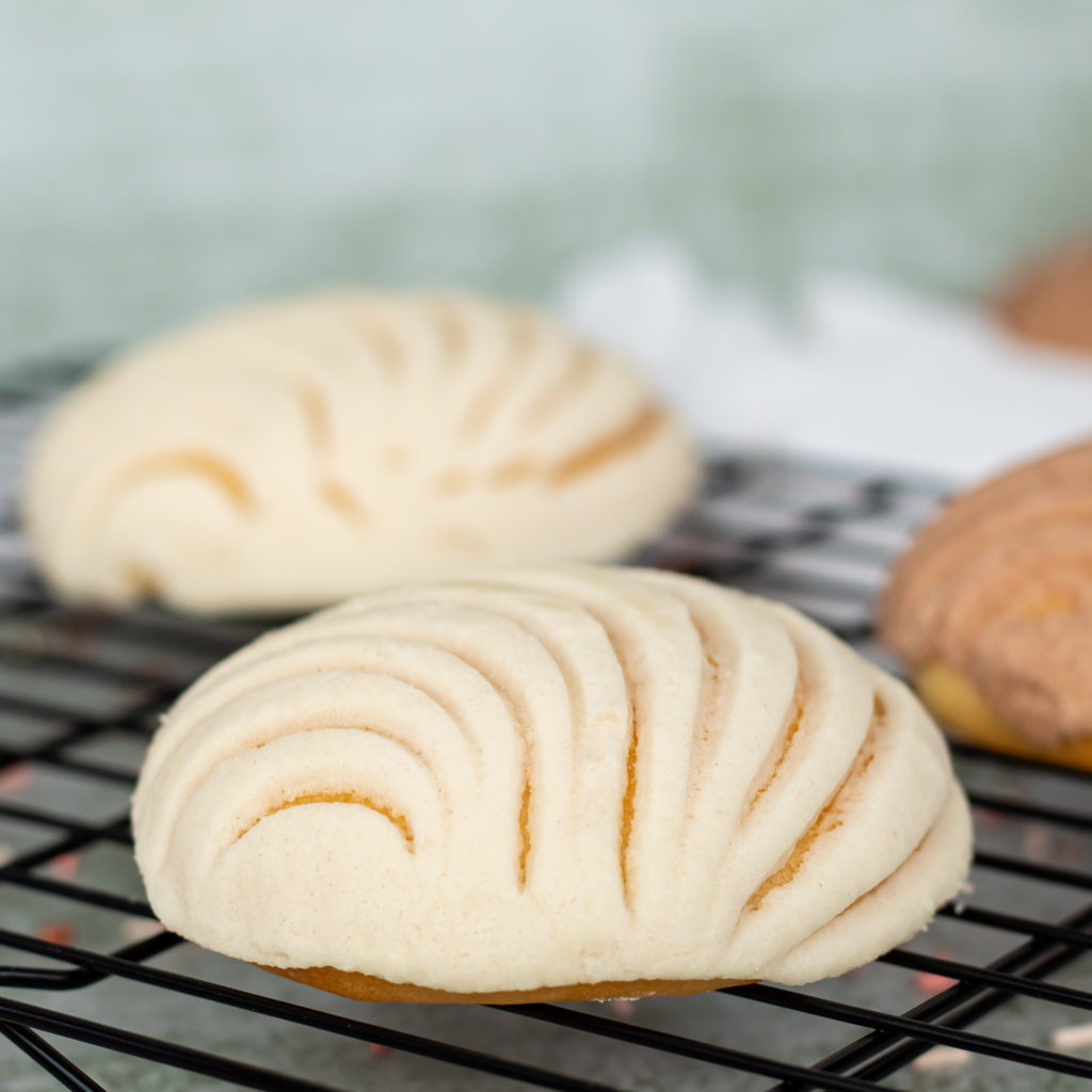 Mexican sweet buns, white conchas